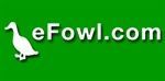 Efowl.com Coupon Codes