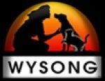 Wysong.net Coupon Codes